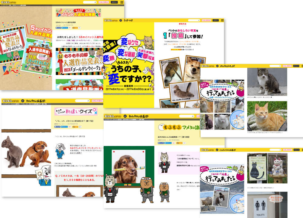 ペットの情報サイト（2）